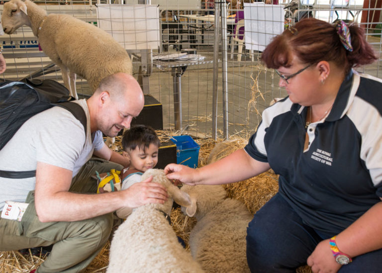 Perth Royal Show Volunteer Family Animal Nursery