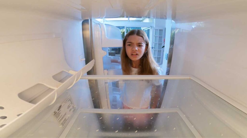 fridge video