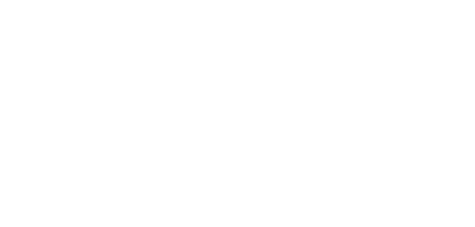 RASWA logo